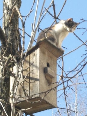 Знайте, вы всегда под пристальным присмотром) — Краснознаменск