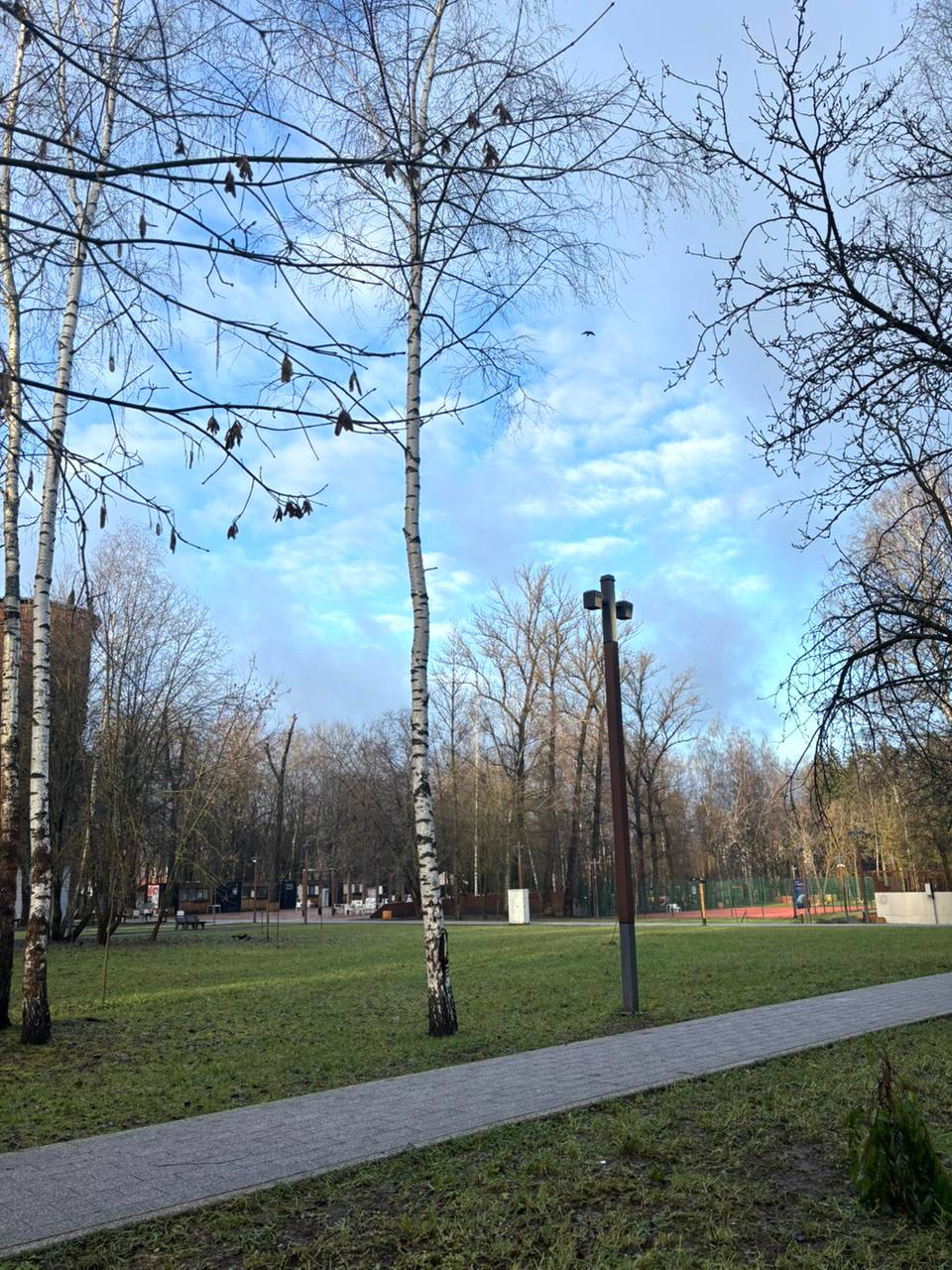 Небо над городом  © в Краснознаменске.ру Мы в telegram: t.me