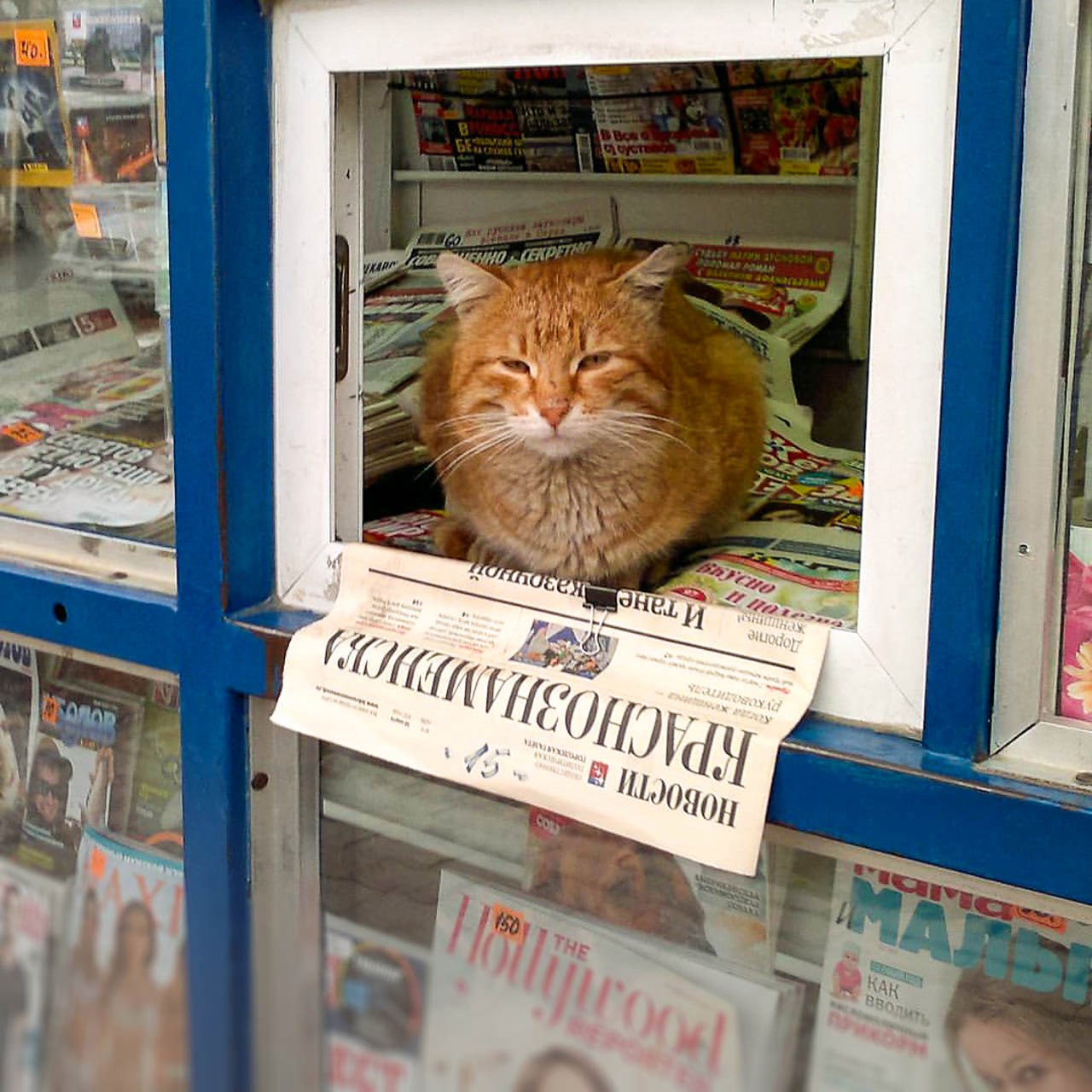 Фото [id72765508|Ирина Артемёнок]
