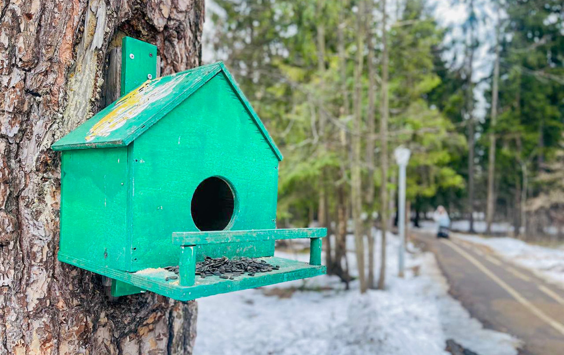 Прогулка по городу — Краснознаменск