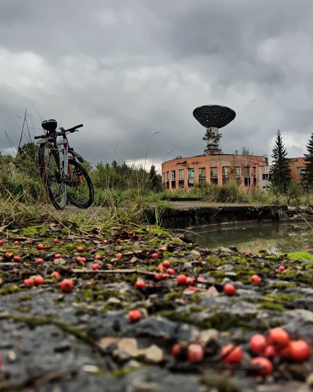 Осенняя прогулка у 3П2С 2021г. — Краснознаменск