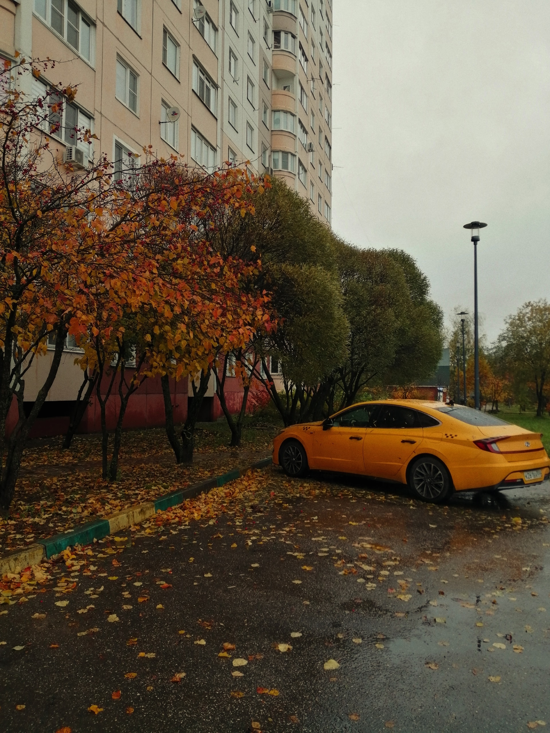 Прогулка по городу  ????Наталья Меняйлова — Краснознаменск
