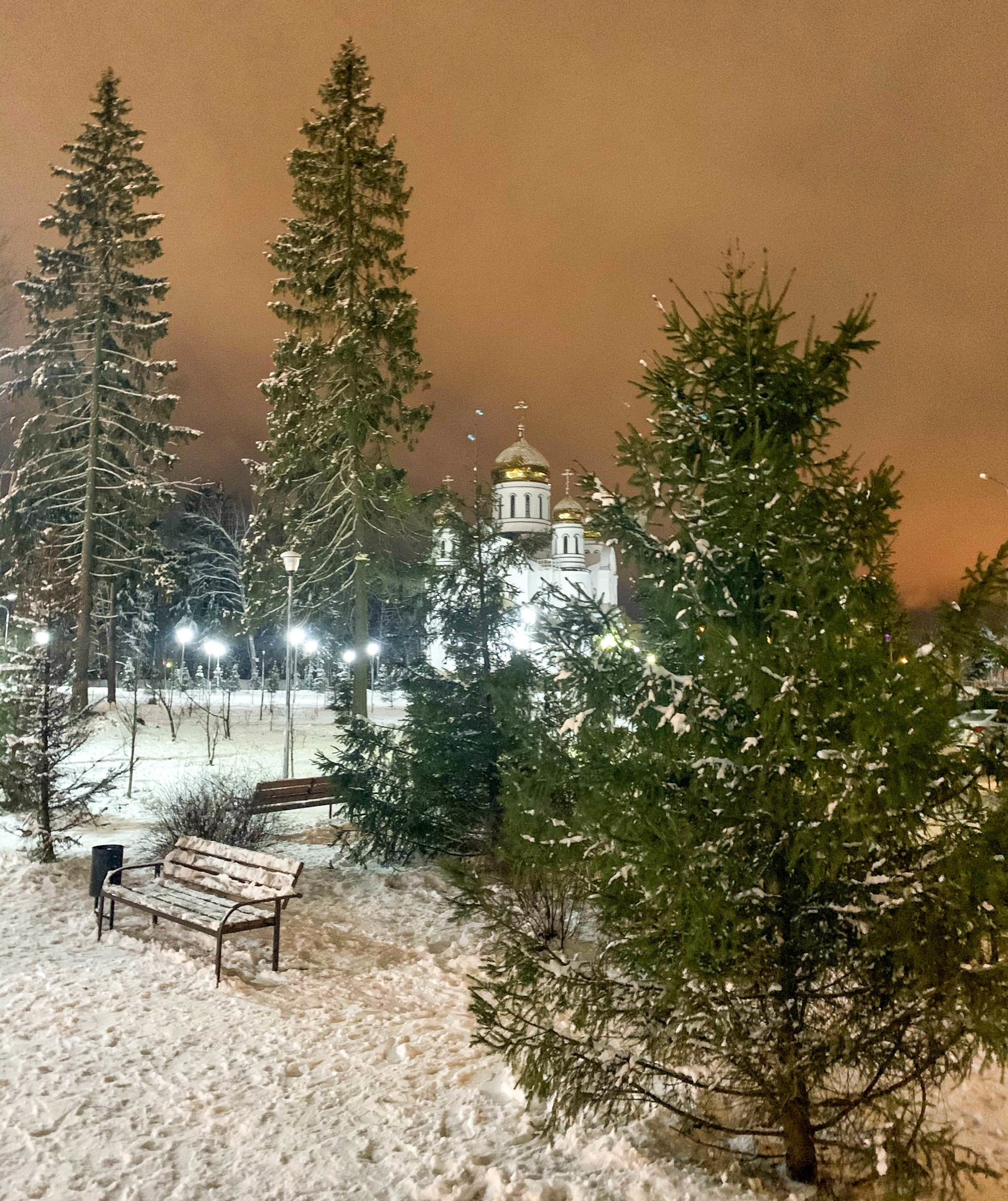 Ностальгия по снежной зиме ???? Лариса Буянская