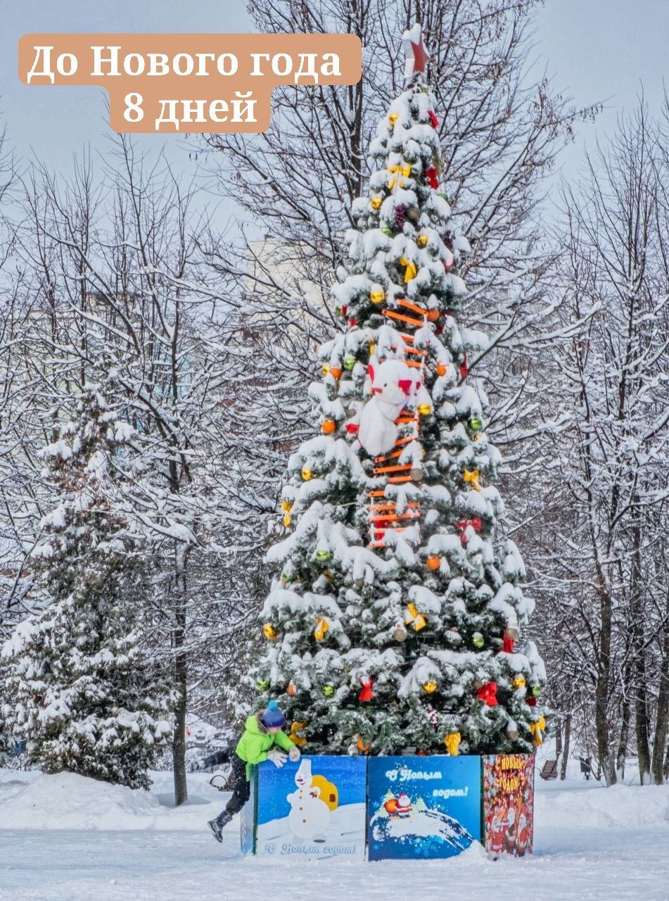 Доброе утро, Краснознаменск!