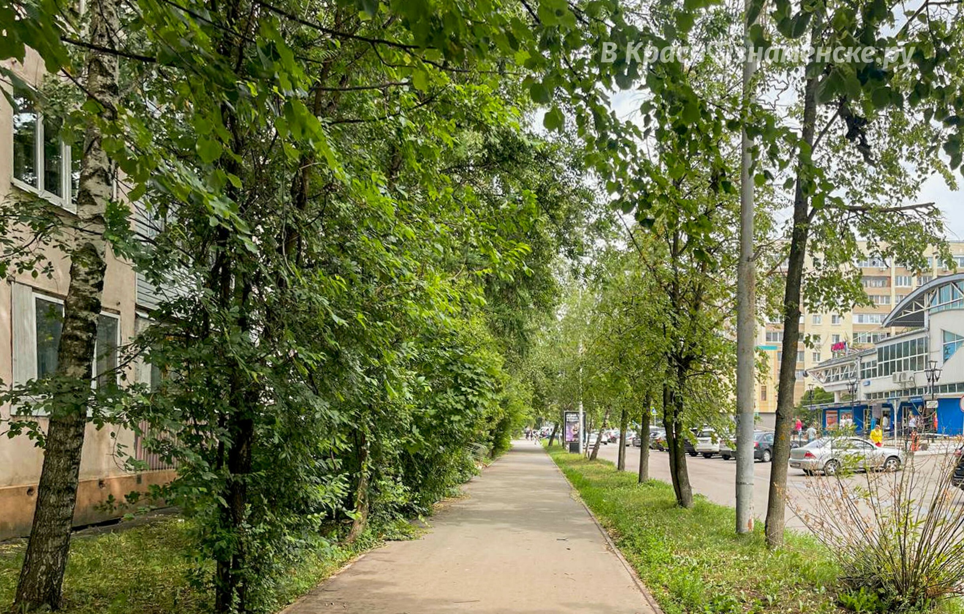 Прогулка по городу — Краснознаменск