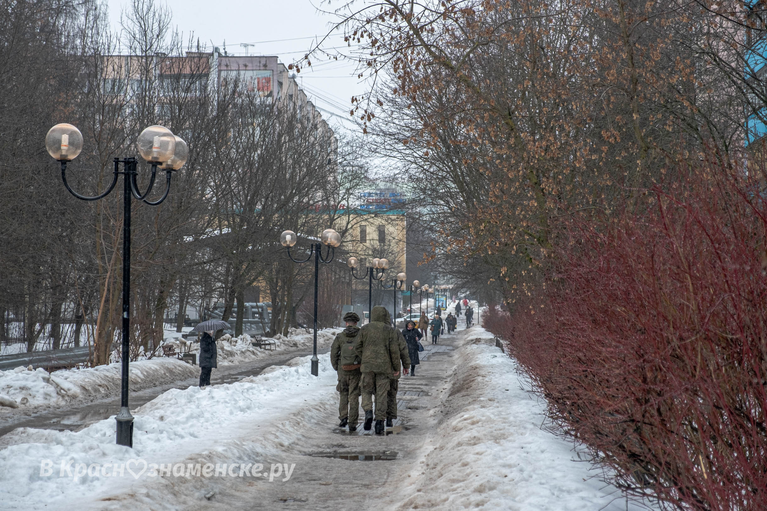 Прогулка по городу — Краснознаменск