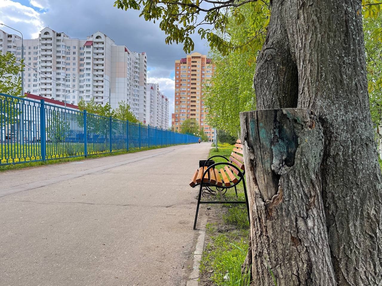 Доброе утро, Краснознаменск. Удачного и доброго начала дня.