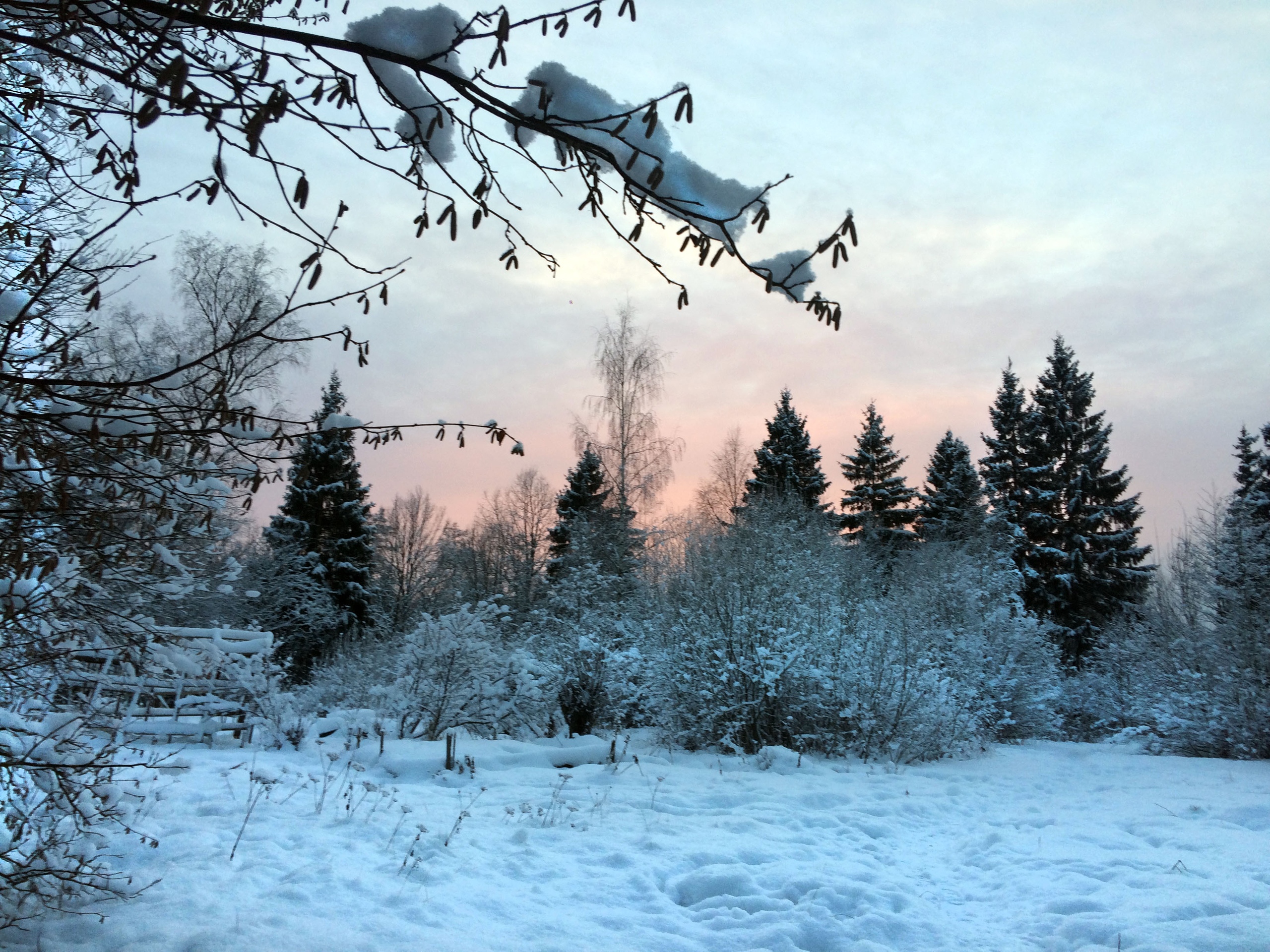 В новом парке фото: Лариса Конюшева — Краснознаменск