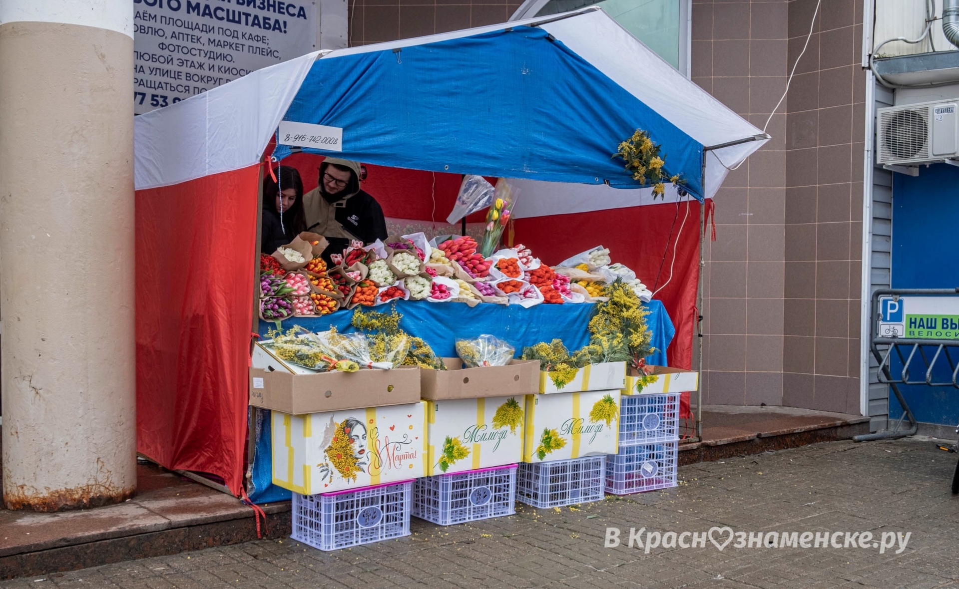 У Центрального рынка заработал цветочный базар.  Тюльпаны та