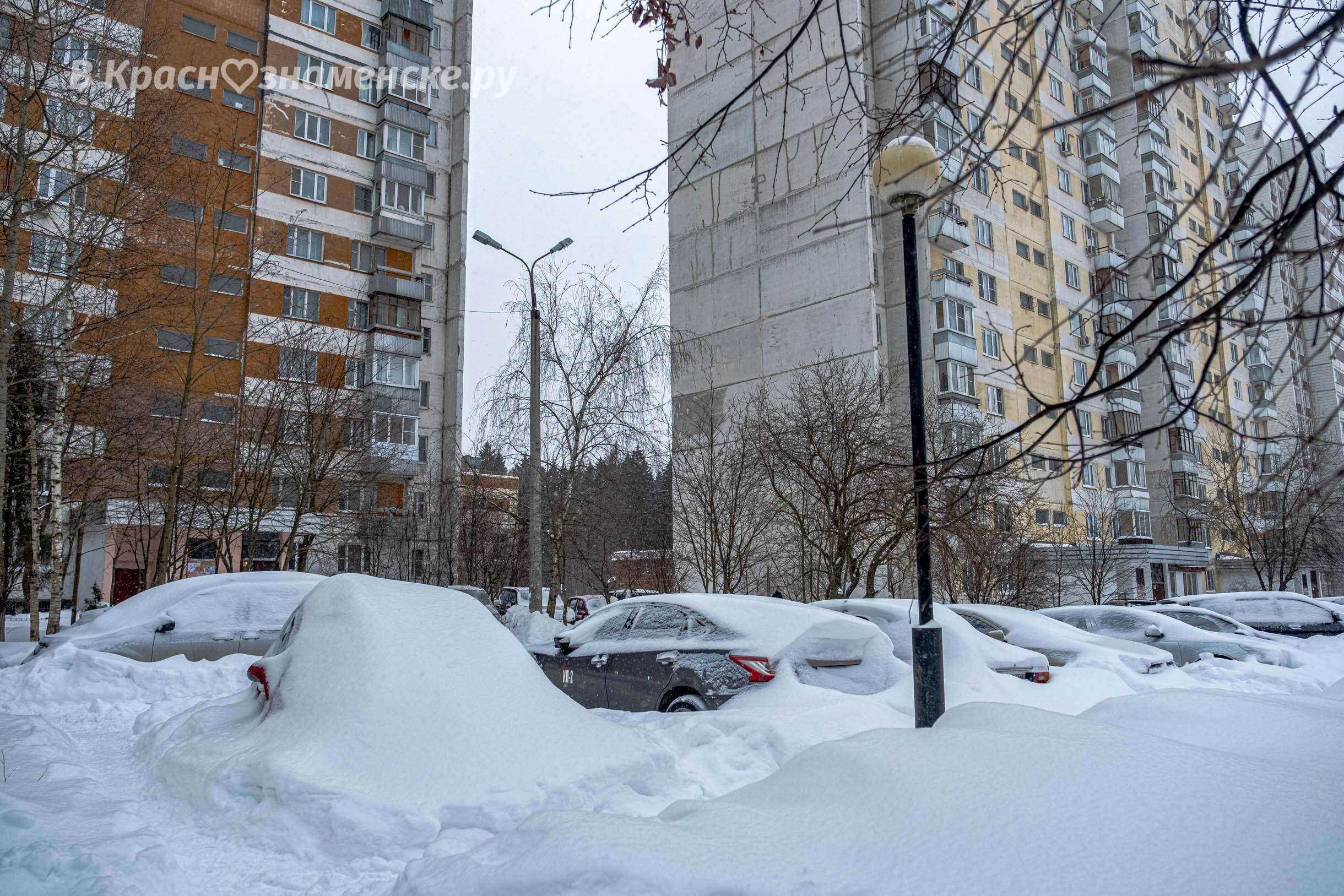 Прогулка по городу — Краснознаменск