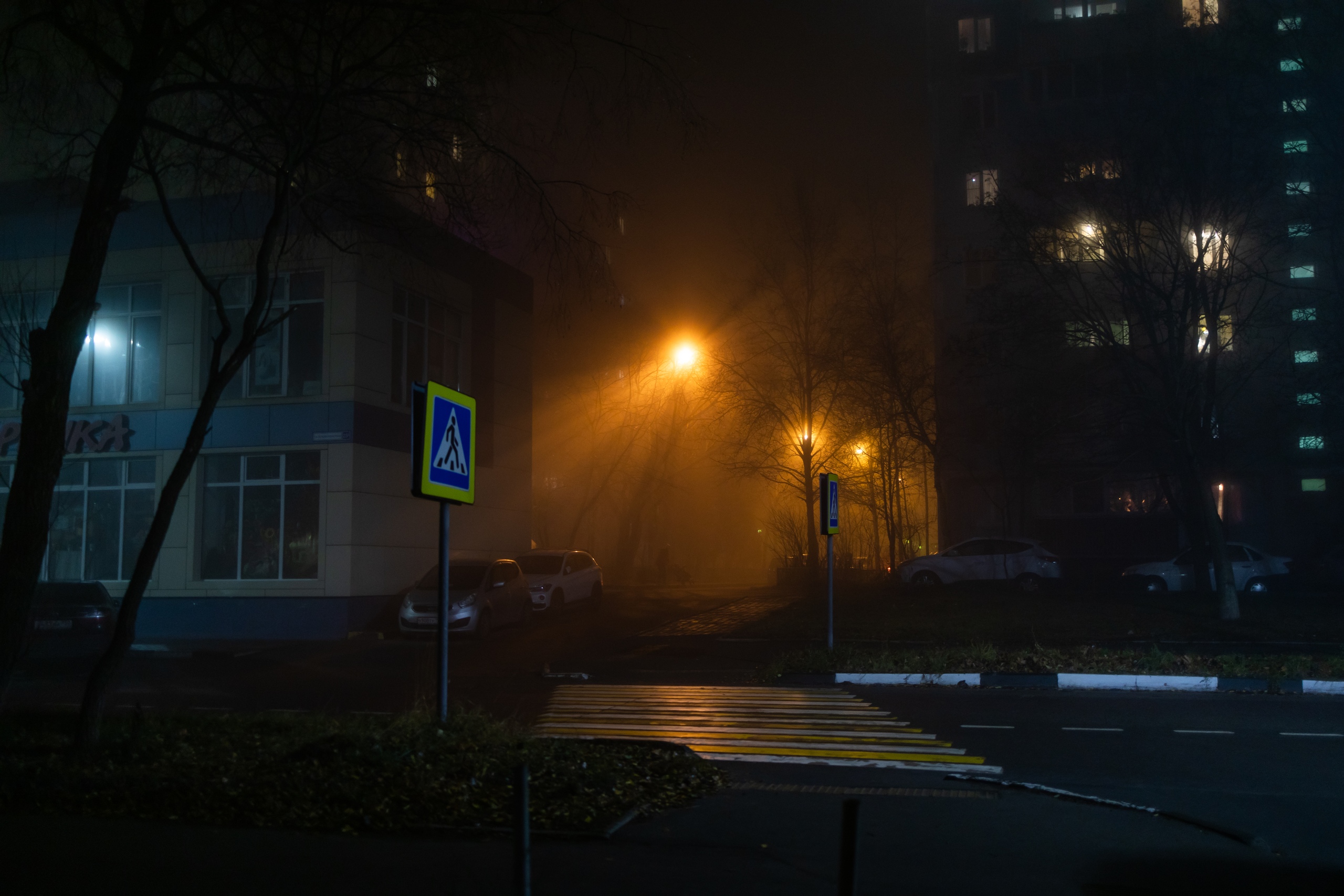 Фото 31253 — Краснознаменск
