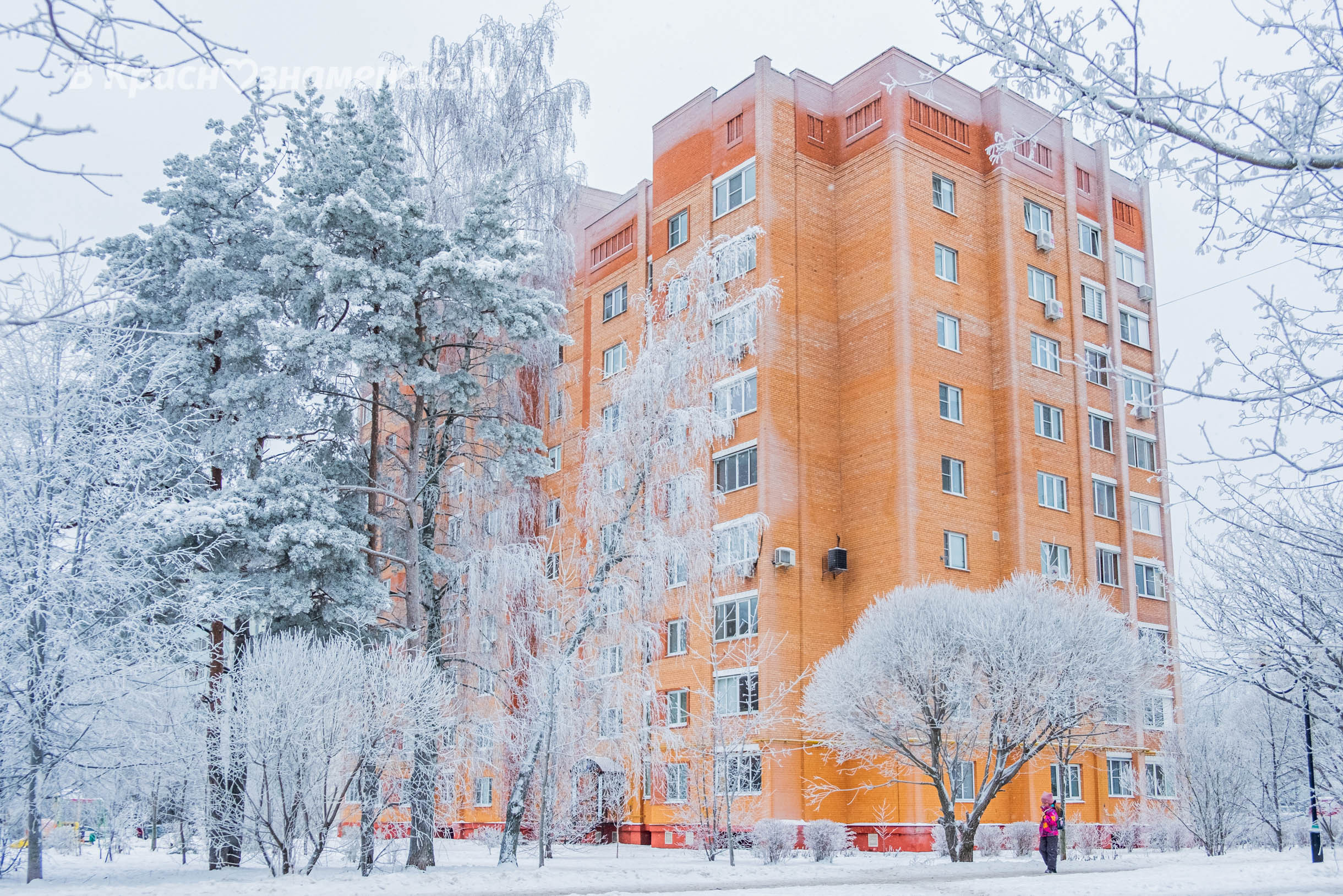 Волшебные зимние Краснознаменские пейзажи