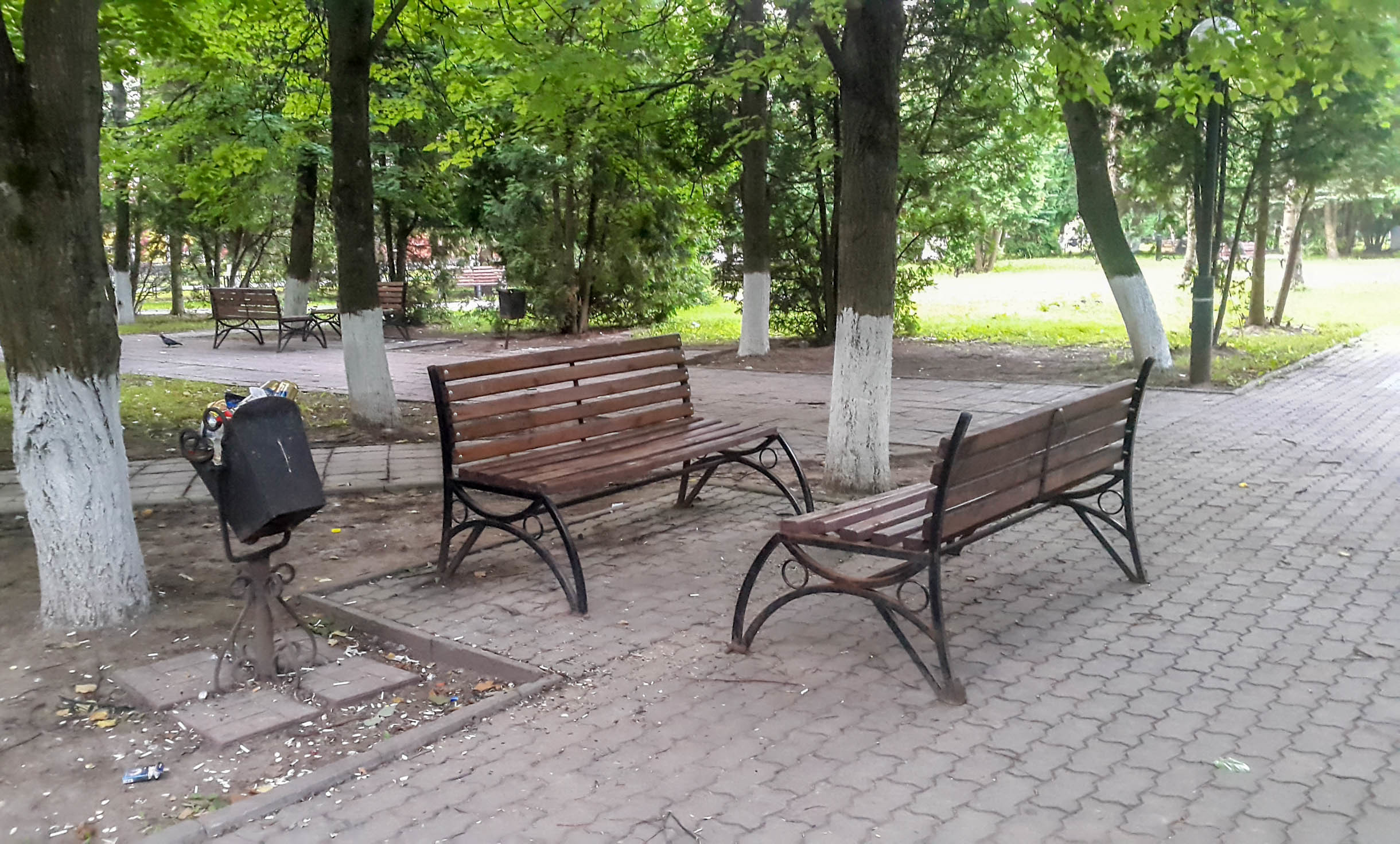 «Тусовка» на природе, всё для людей — Краснознаменск