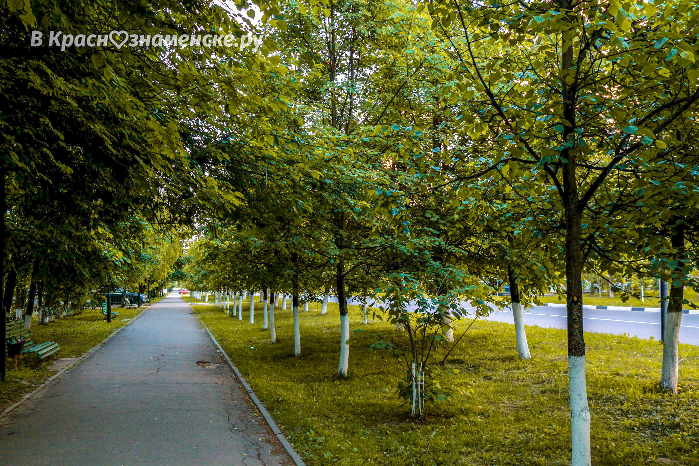 Солнечная прогулка по городу. — Краснознаменск