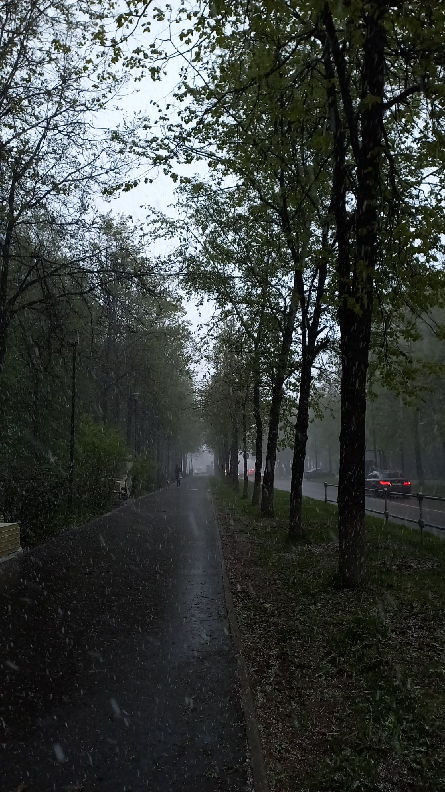 Май 2024 в Краснознаменске.☀⛈????