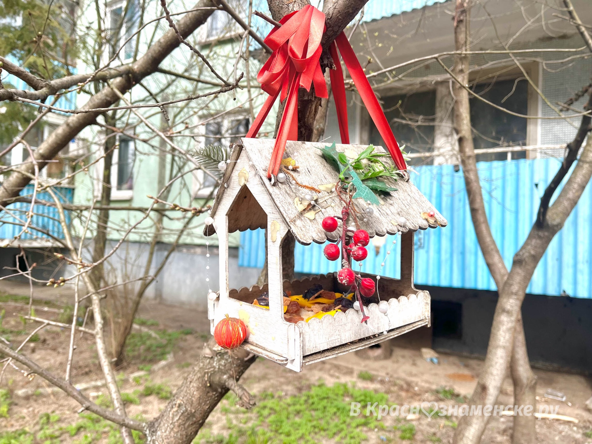 Прогулка по городу  *Краснознаменск в других соцсетях и месс