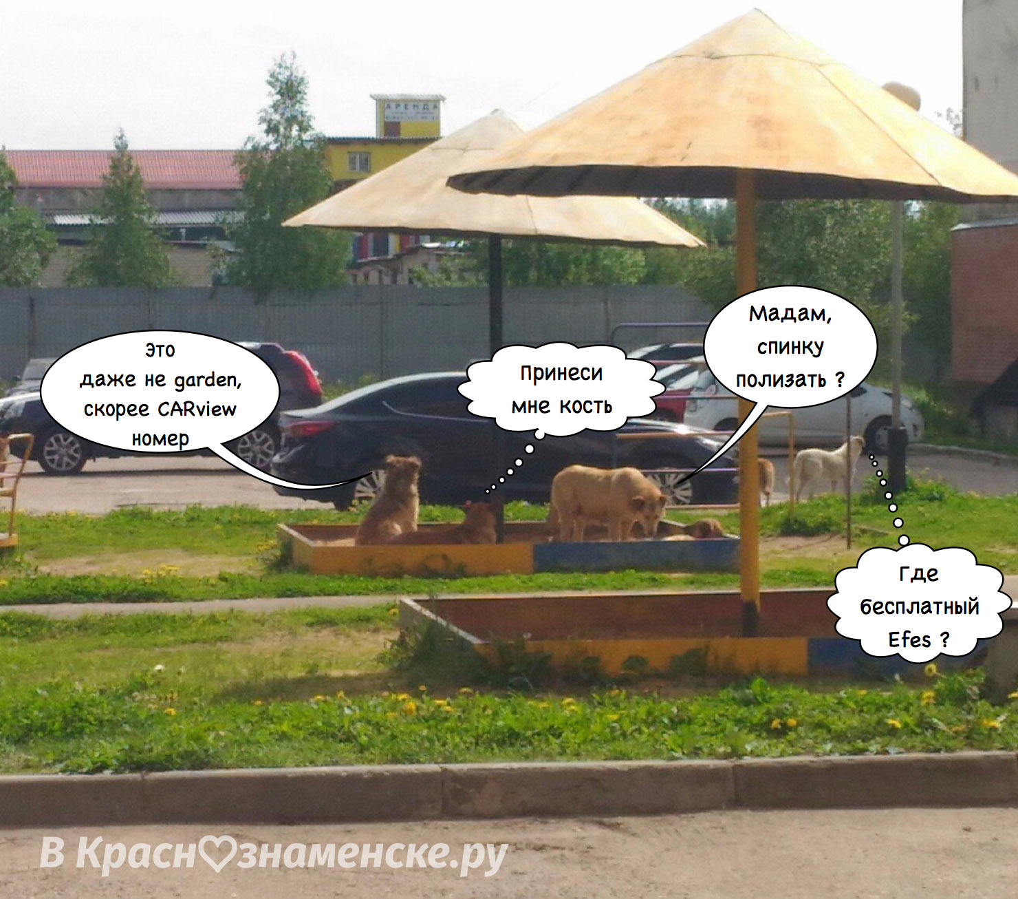 Песчаные курорты Краснознаменска ???? Делимся фото с отдыха в к