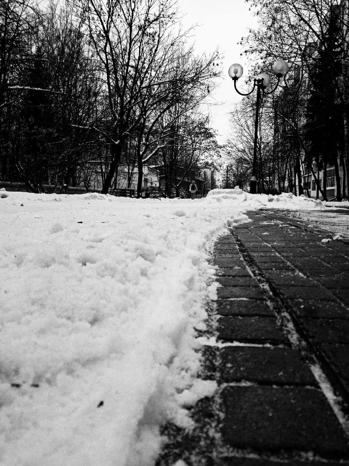 Фото 36061 — Краснознаменск