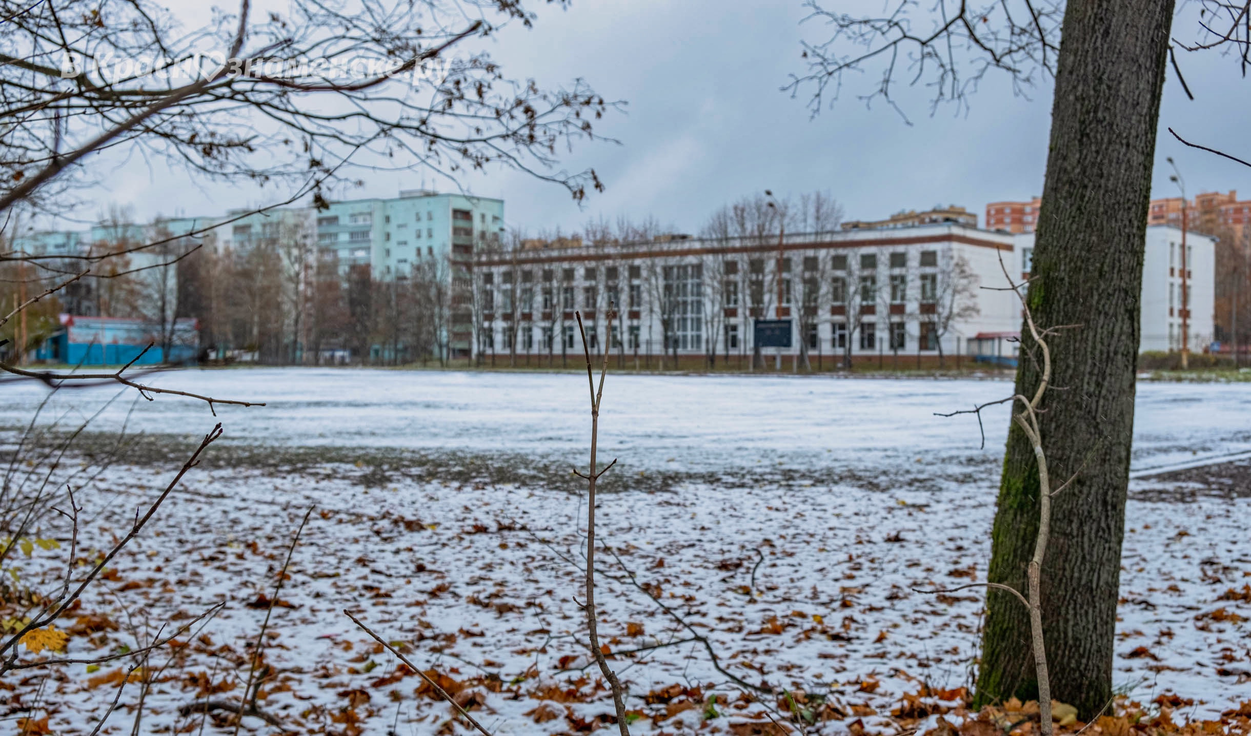 Первый снег в Краснознаменске.  Делитесь и вы своими фотогра