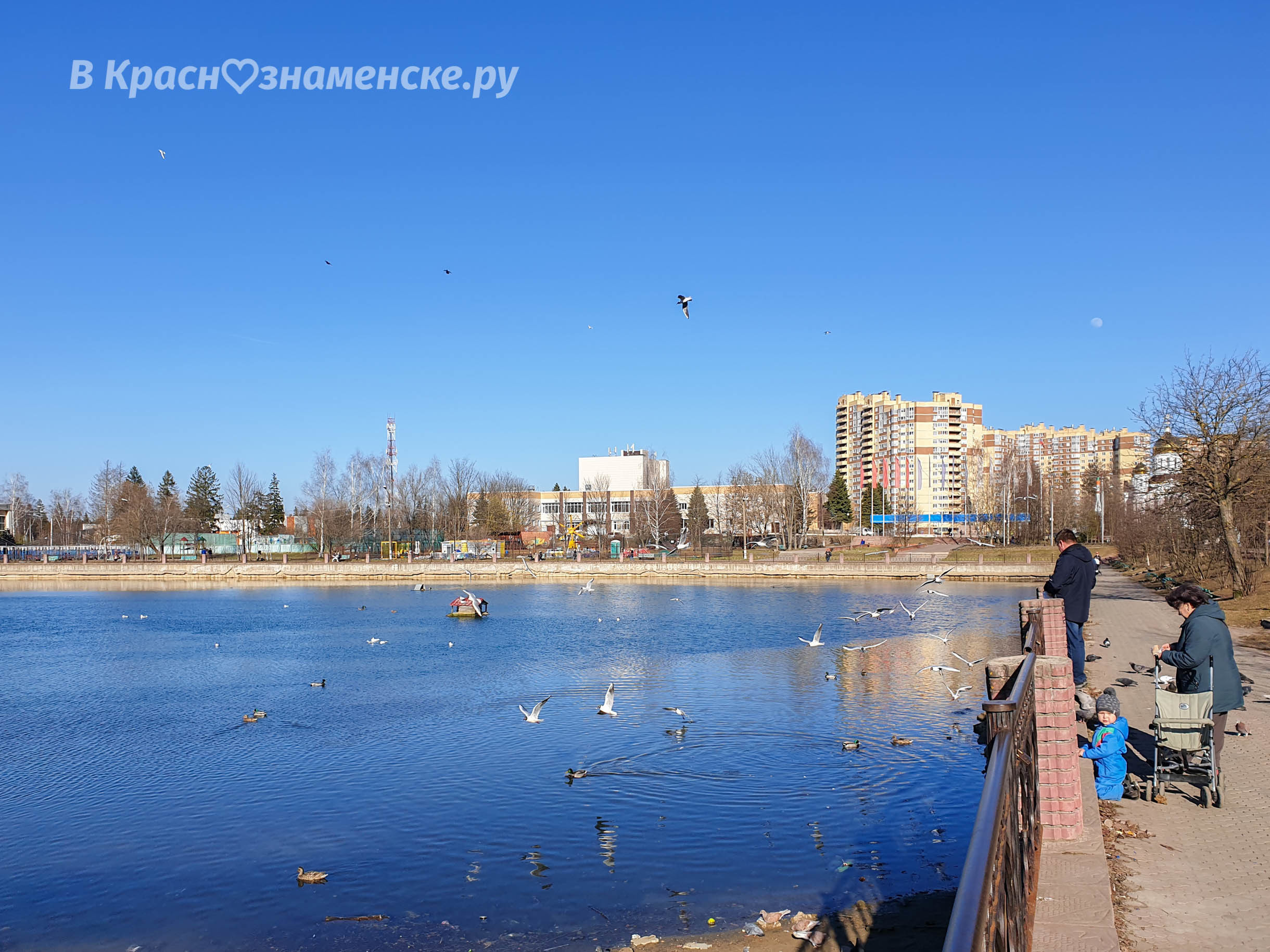 Фото 7001 — Краснознаменск