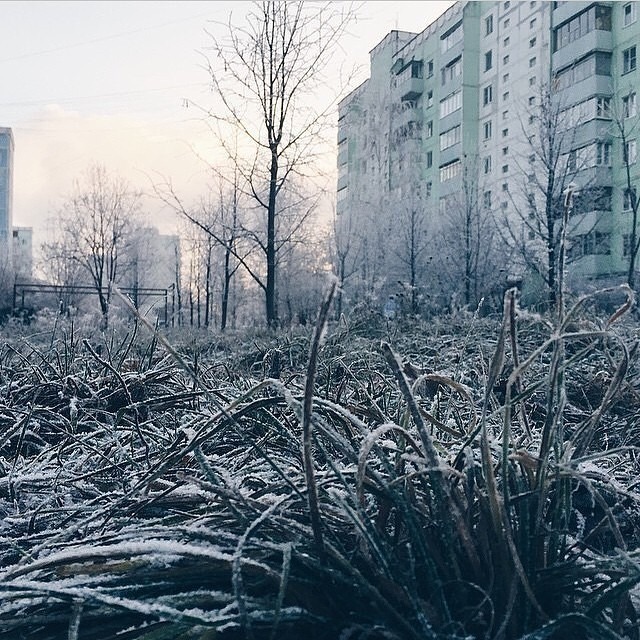 Доброе утро, Краснознаменск! Утром +14°...+19°, Облачно с пр