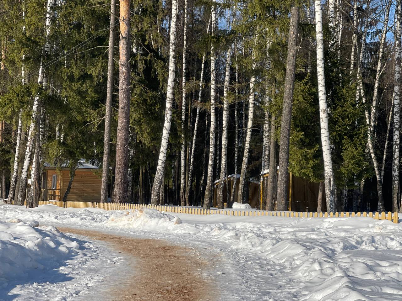 Прогулка по городу. — Краснознаменск