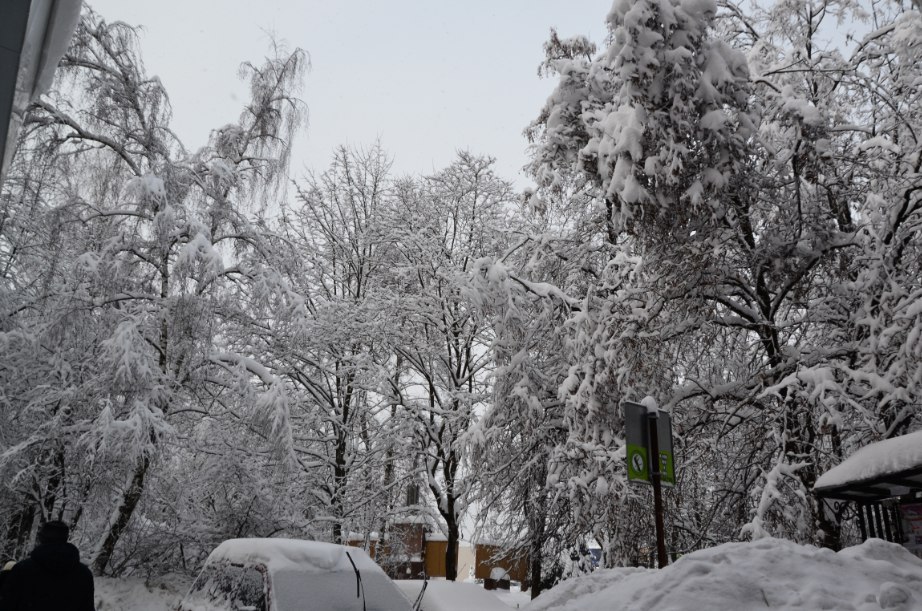 ❄ — Краснознаменск