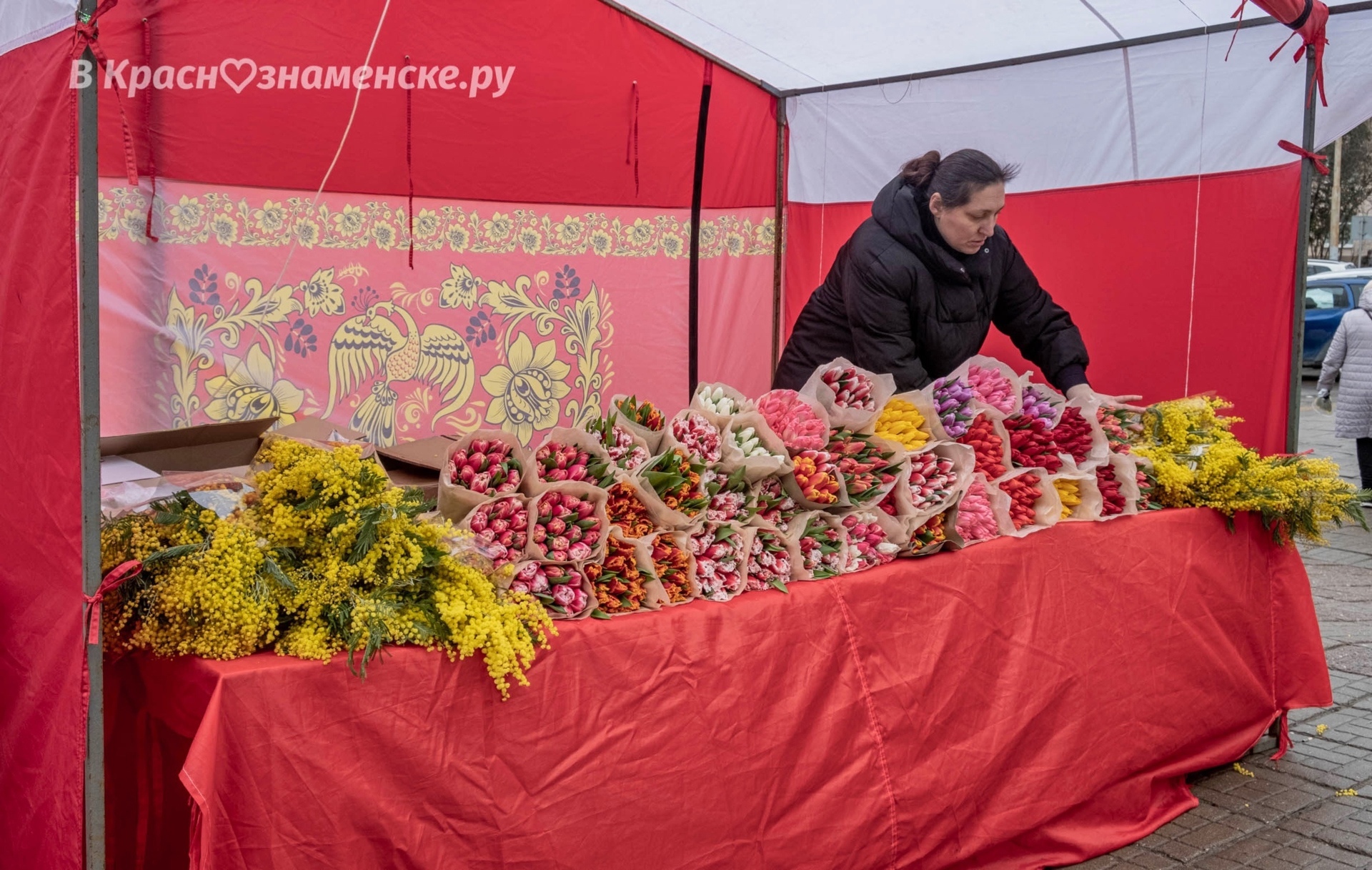 Фото 37178 — Краснознаменск