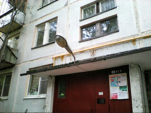 Свиньи — Краснознаменск
