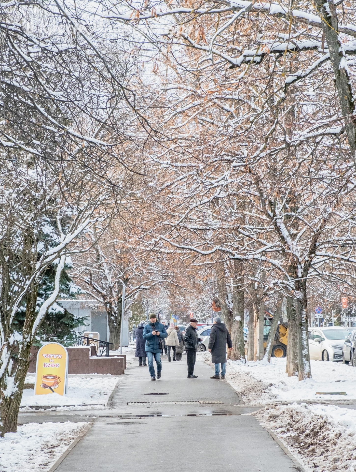 Прогулка по городу — Краснознаменск