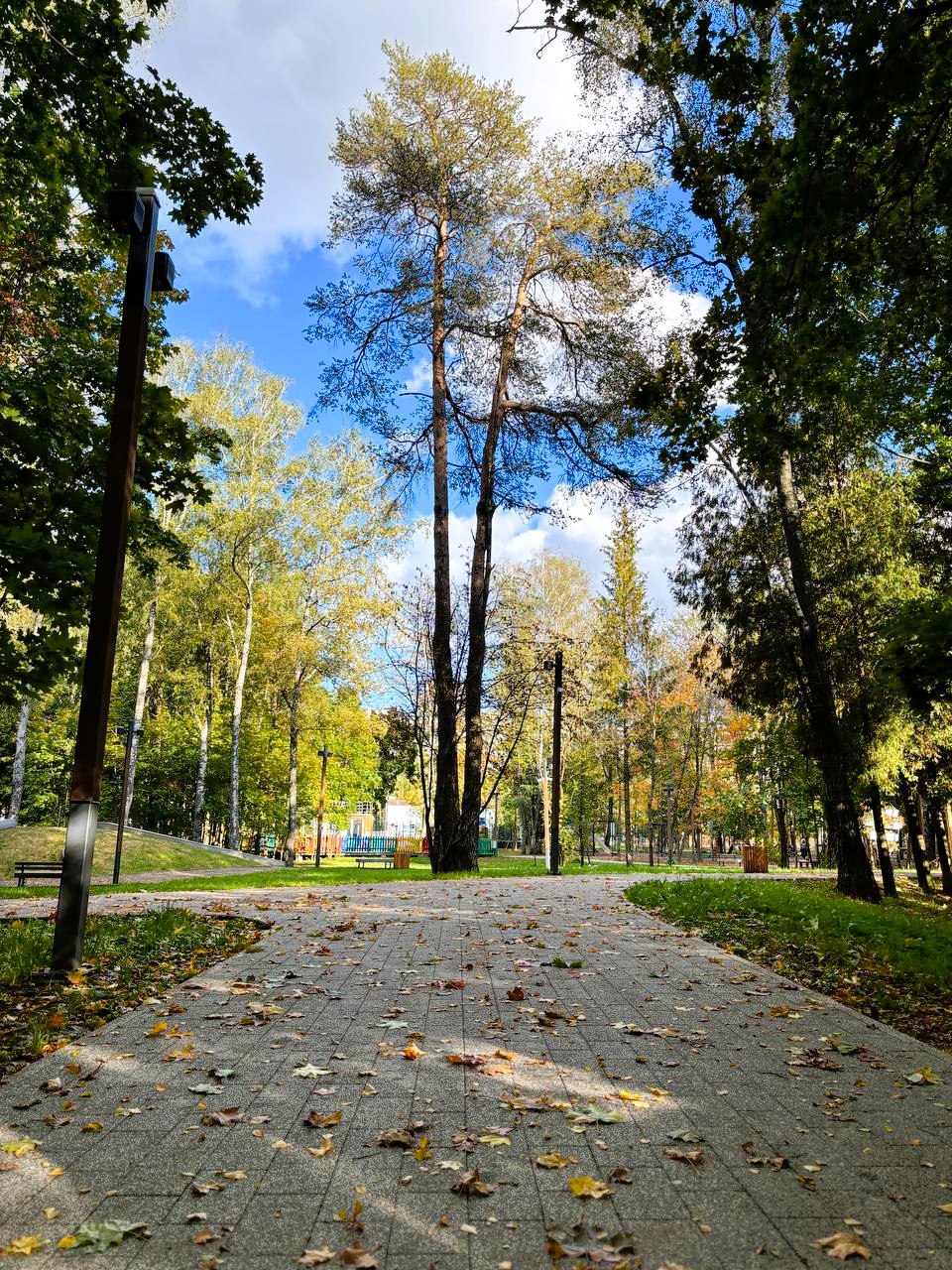 Солнечный осенний день в Беличьем парке ???? ????  ⓒ Парки Красноз