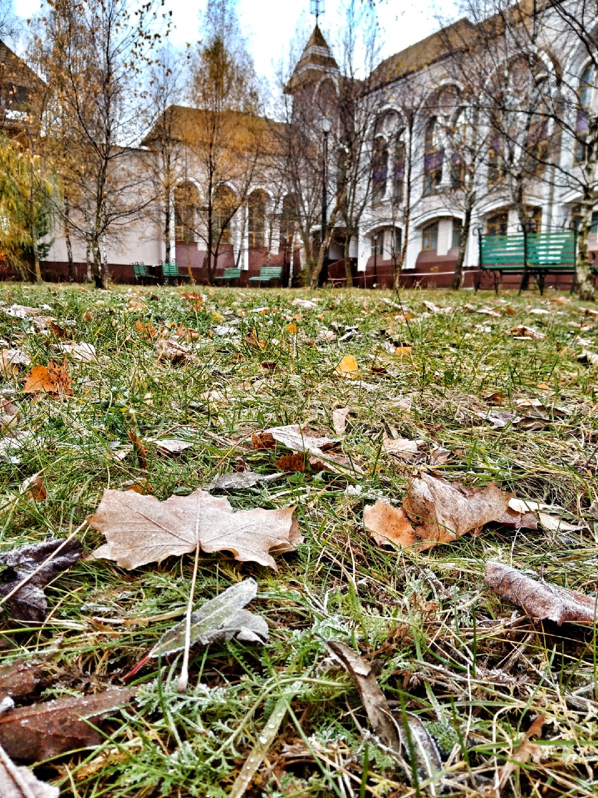 Морозное утро в Краснознаменске.  ???? Наталья Меняйлова