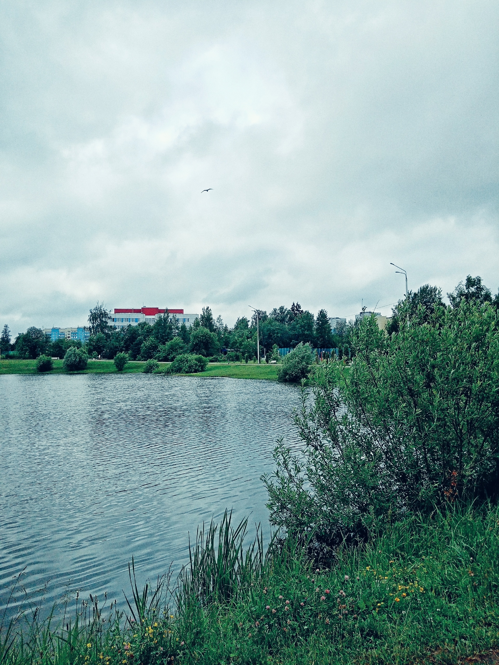 Утро в парке. — Краснознаменск