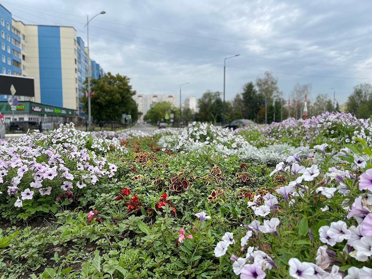 Доброе утро, Краснознаменск! Спокойного и хорошего вам дня)