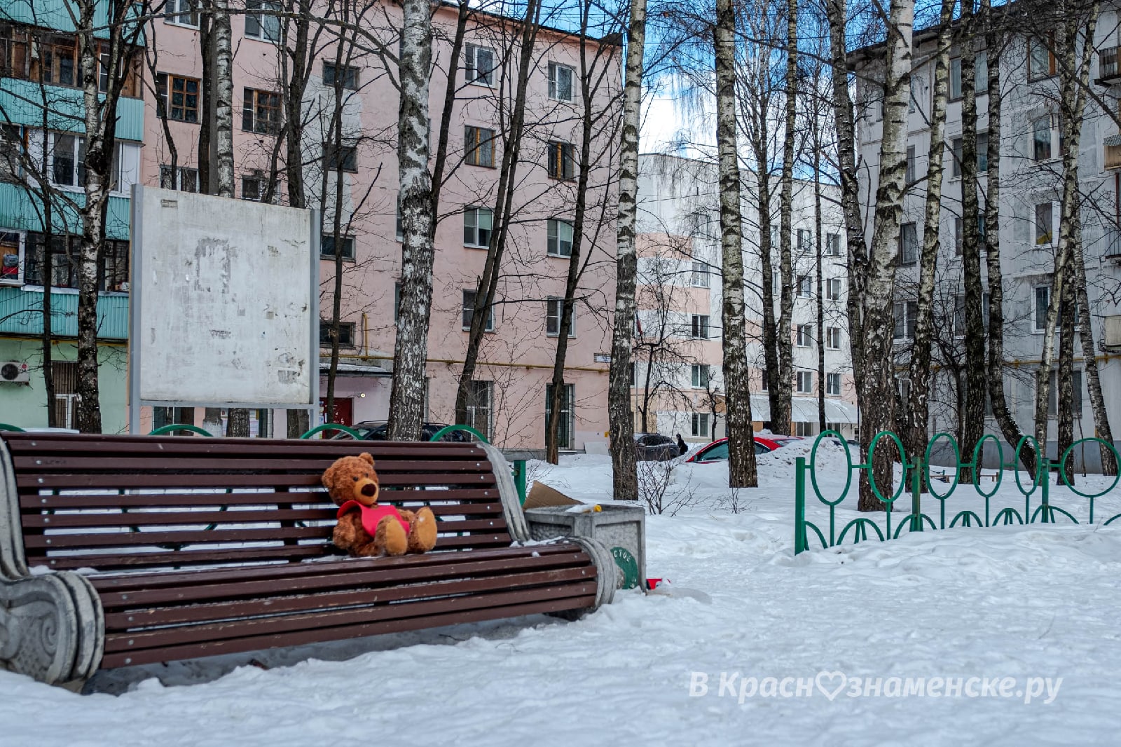 Мишку бросила хозяйка
