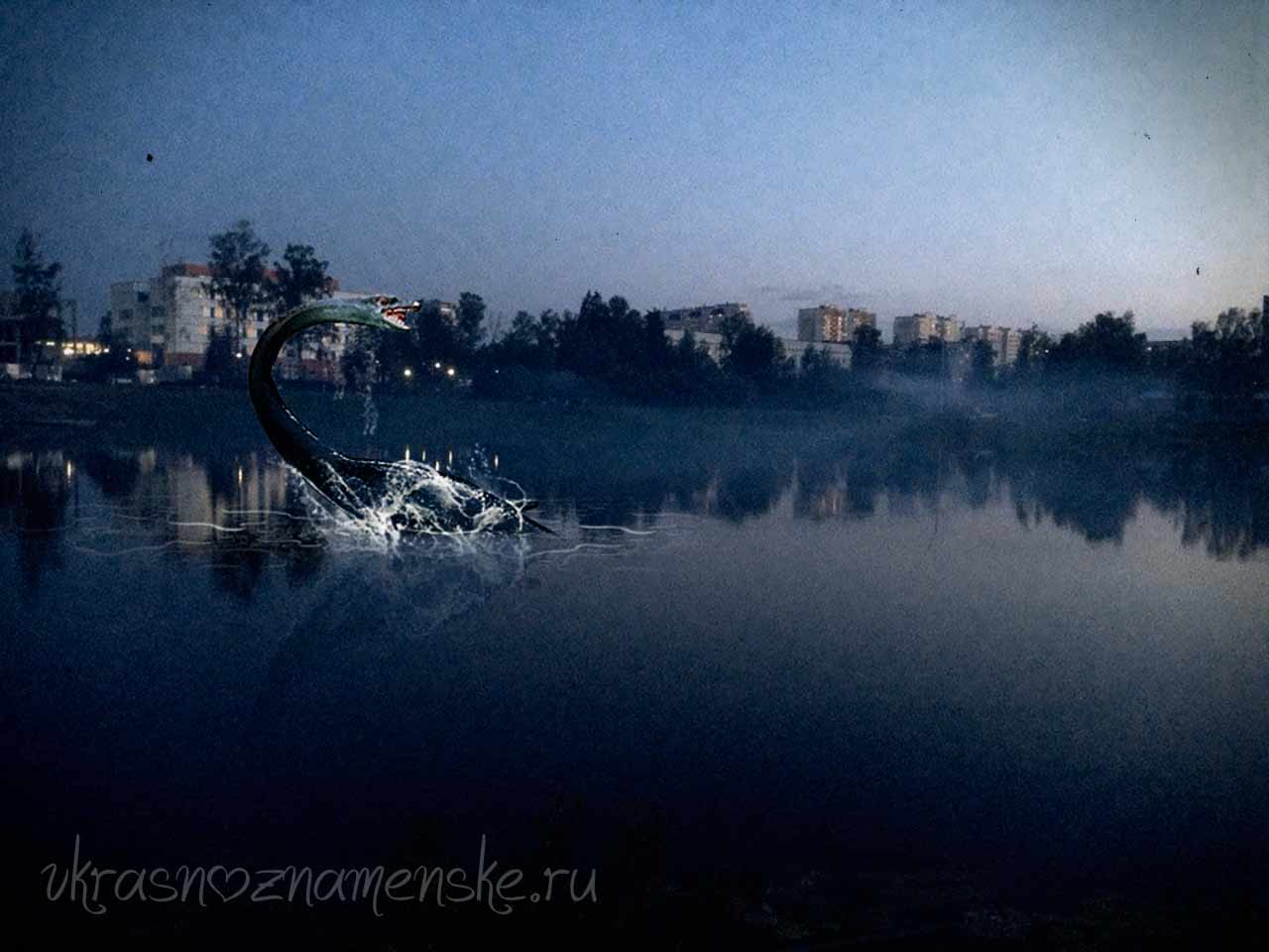 VK -27992616_95481