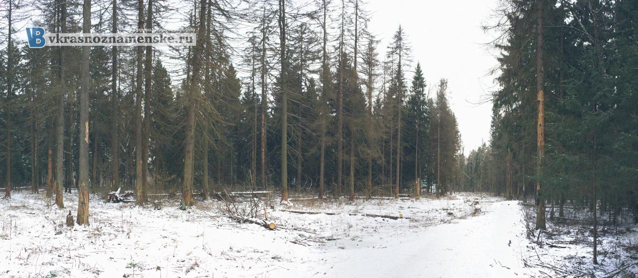 Быстрое меню — Краснознаменск