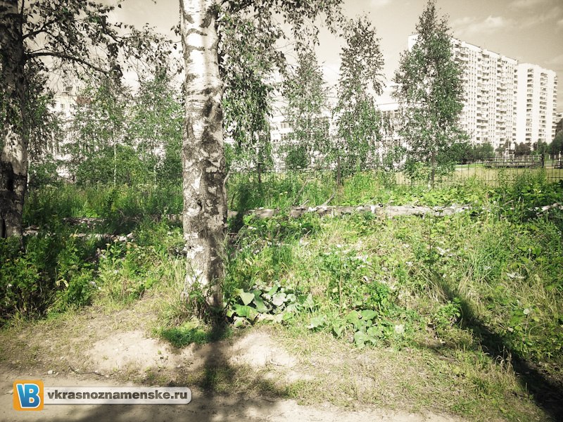 Быстрое меню — Краснознаменск