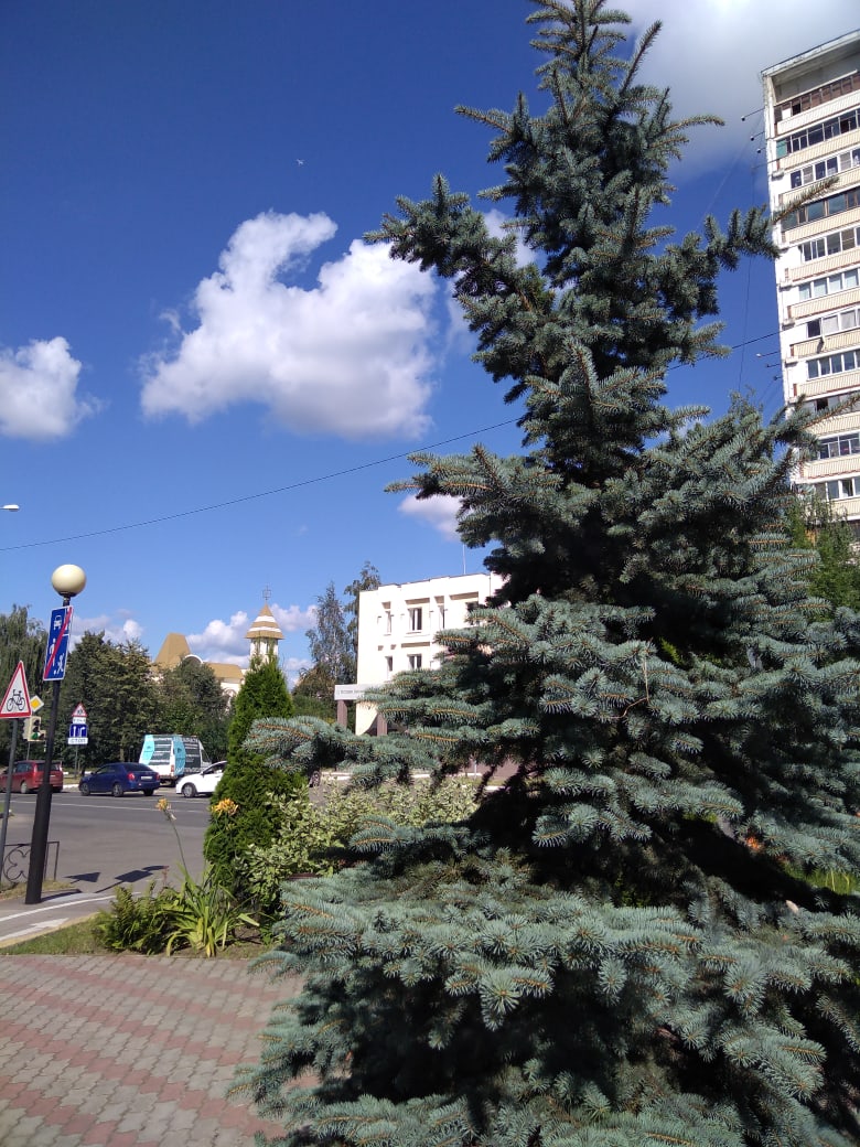 ???? Наталья Меняйлова — Краснознаменск