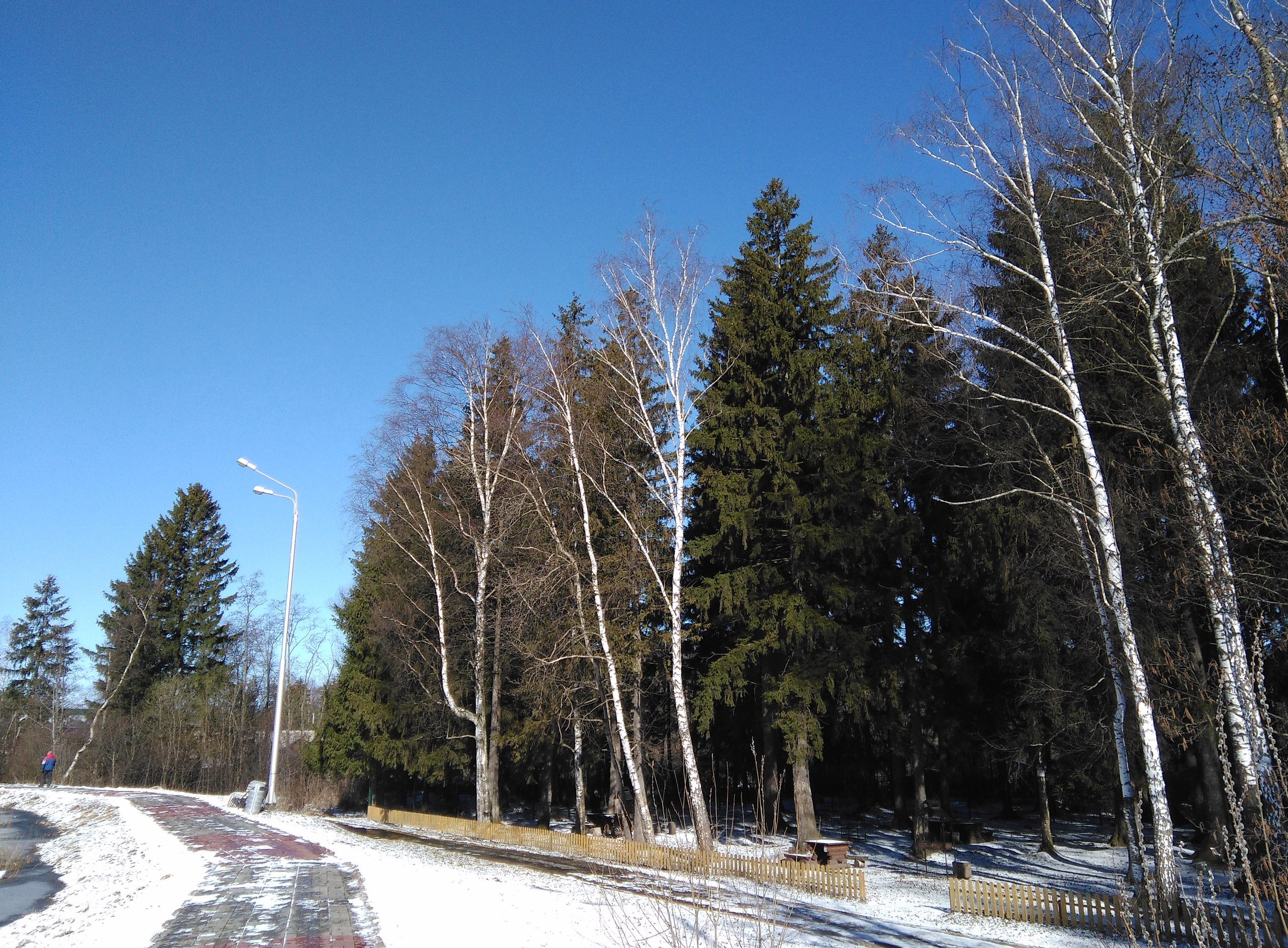 Весна в городе) — Краснознаменск