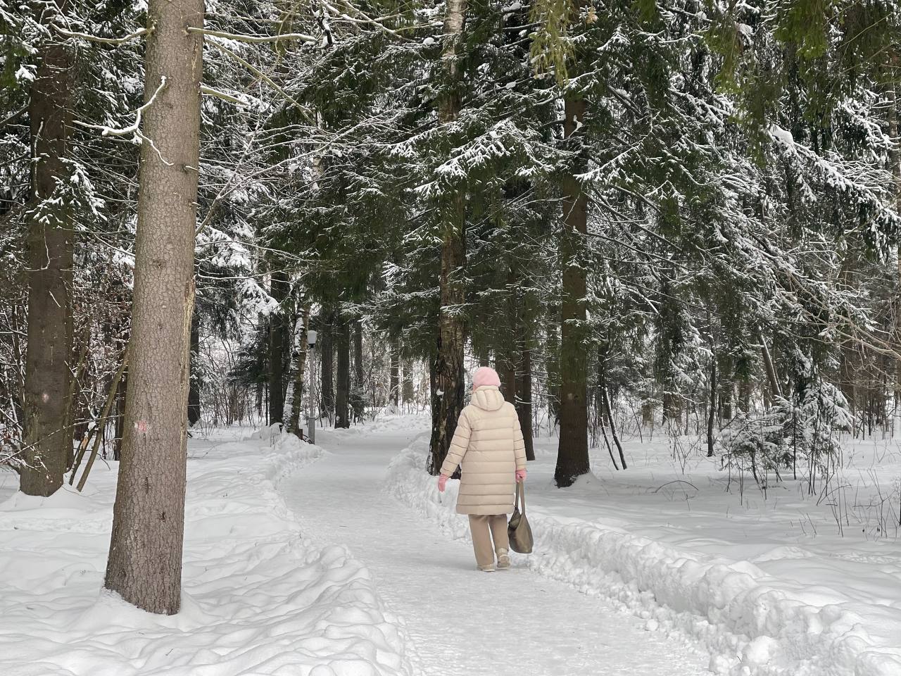 Прогулка по городскому парку — Краснознаменск