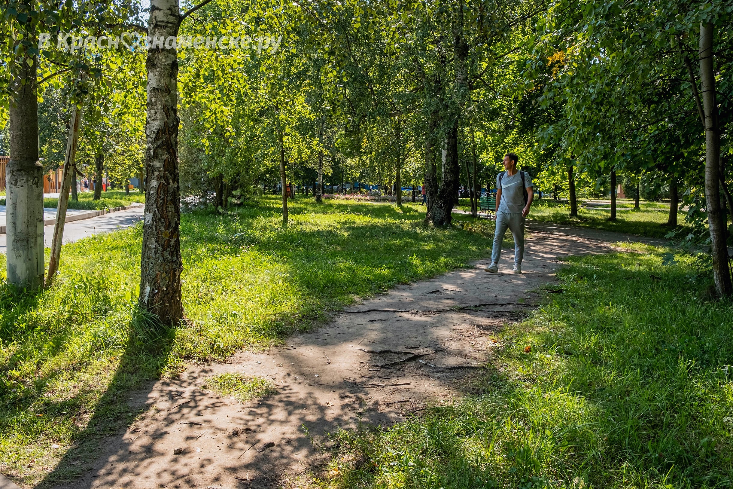 Тропинки, которые хотелось бы заасфальтировать — Краснознаменск