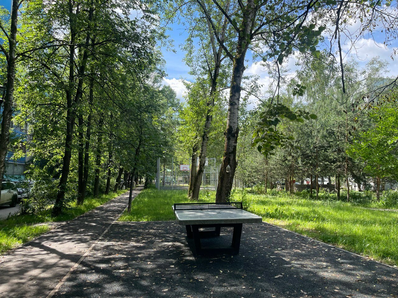Солнечная прогулка по городу.