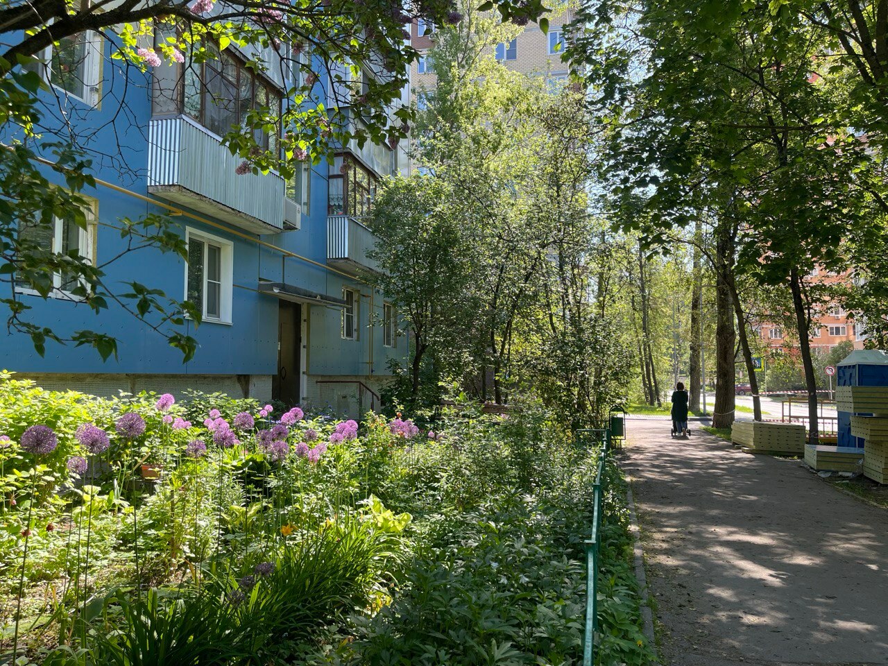 Солнечная прогулка по городу. — Краснознаменск
