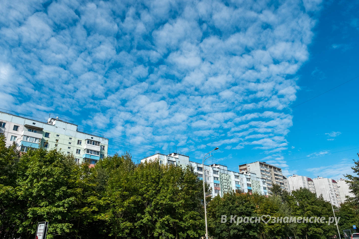 Доброе утро, Краснознаменск! ☀ Утром +9°…+18°, Ясно, Давлени