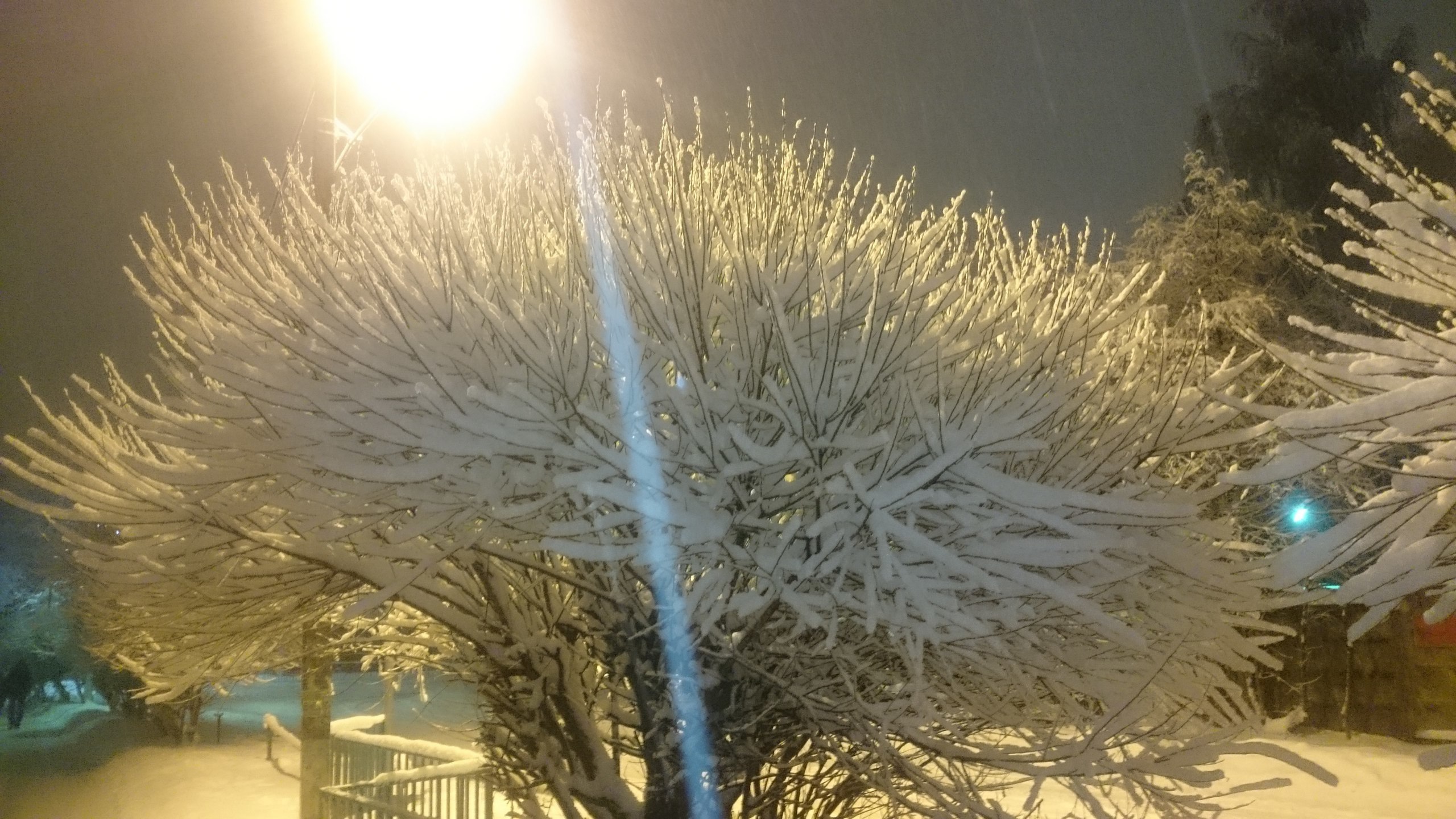 Сказочная зима ❄️ — Краснознаменск
