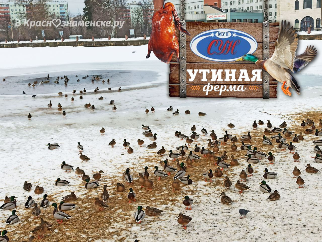 Стартап для МУП СУН ????