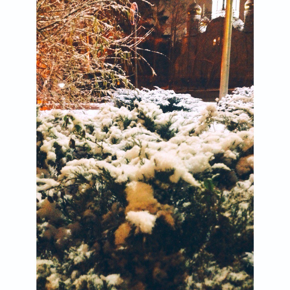 Зимняя пора ❄️⛄️
