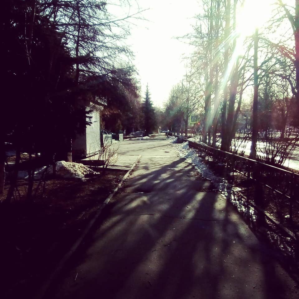 Доброе утро, Краснознаменск ???? Утром +2°…+12°, Ясно, давление