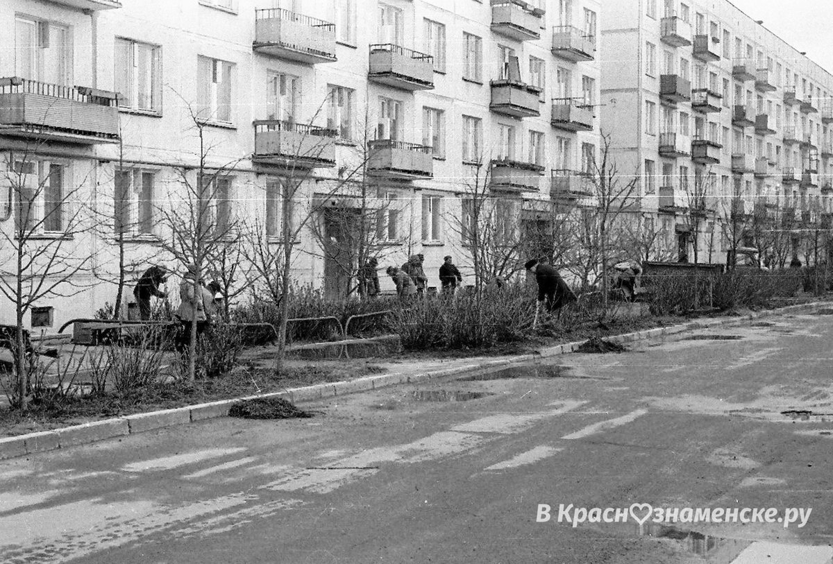 Фото 53493 — Краснознаменск